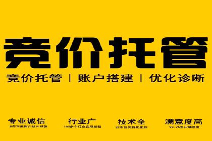 SEM运营中的数据分析和优化案例研究